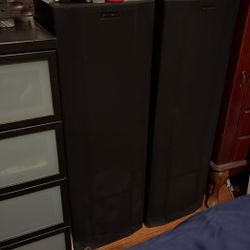 100 Watt Black Fisher Tower Speakers