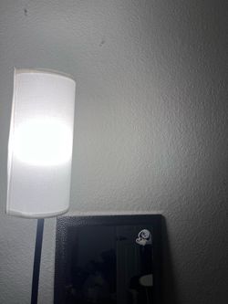 Mirror + Light Bundle – Moving Sale – $10–$20 OBO