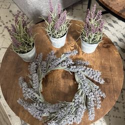 Lavender Plants
