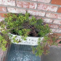 2 Farmhouse Planters With Plants 
