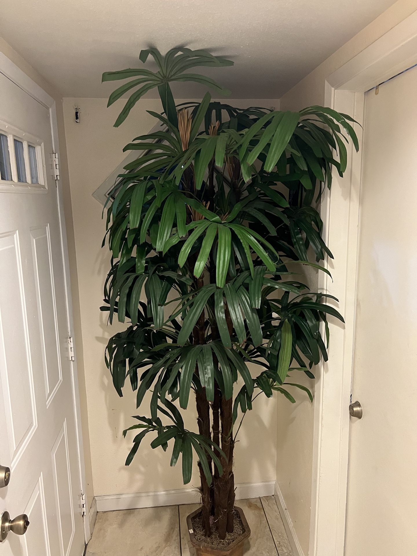 Plants Artificial. 7ft