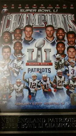 2017 patriots wall Portrait