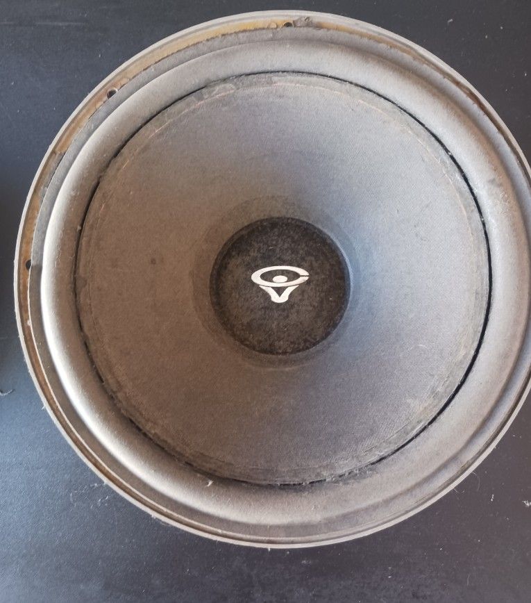Cerwin Vega 12" Subwoofer 