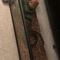 20 gal tank with lid