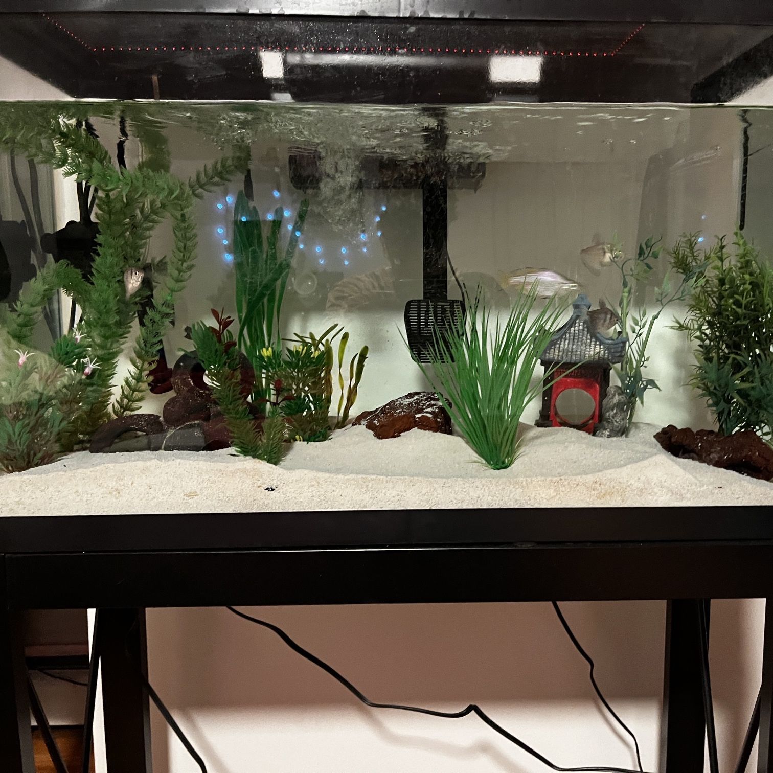 50 Gallon Fish Tank for Sale in Redding, CT - OfferUp