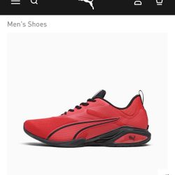 Brand new puma mens shoes (Neutron) , size 8 for $50 at 45% discount