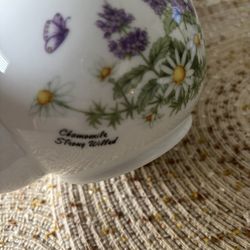 Oneida Porcelain Teapot The Romance Of Flowers