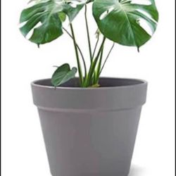 Brandnew Plant Flower Pot, 6 inch Plastic Planter, for Tabletop Plant & Hanging Planter - Pack of 2