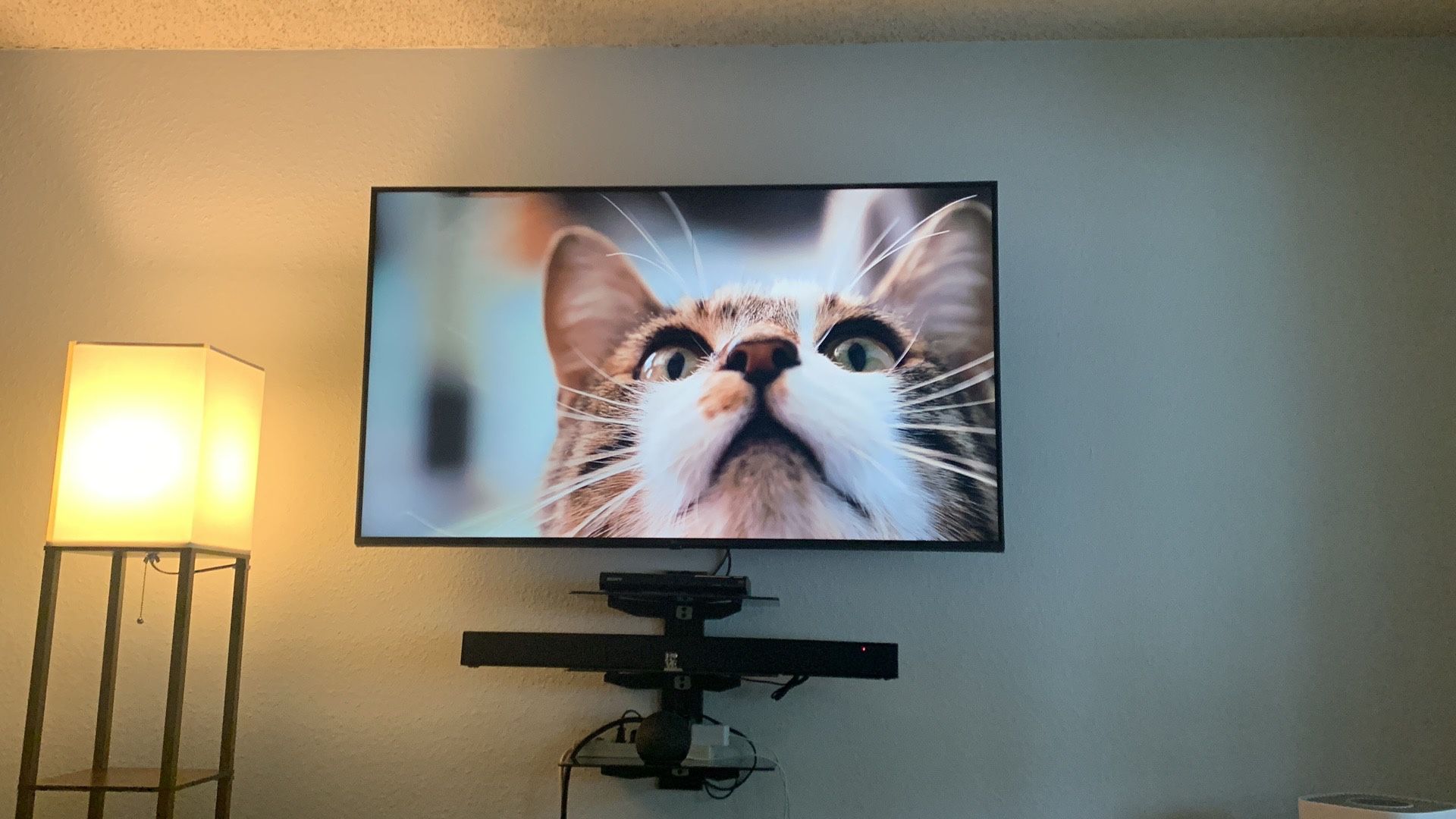 55” LED TV 