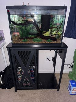 20 gallon fish tank