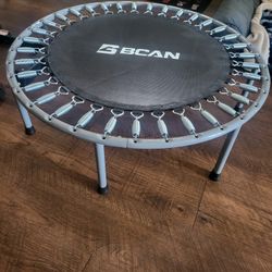 Fitness Trampoline 