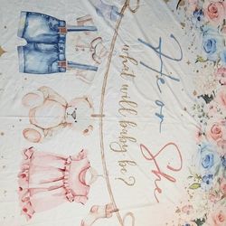 Gender Reveal/ Baby Shower 