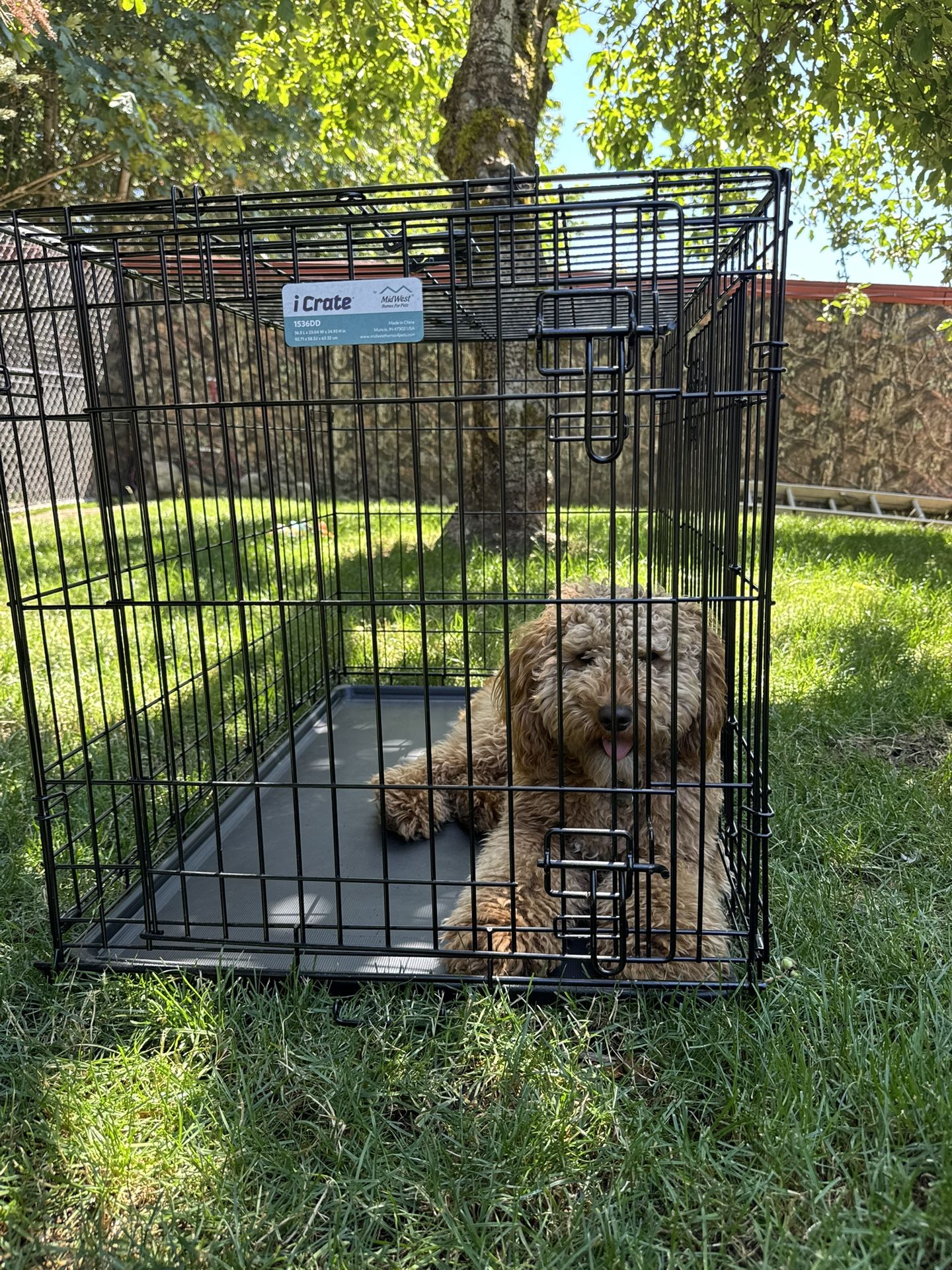 Dog Kennel