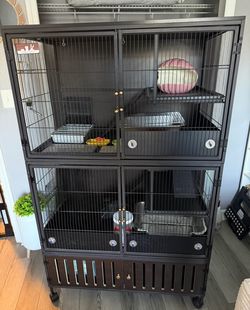 Large multilevel animal cage