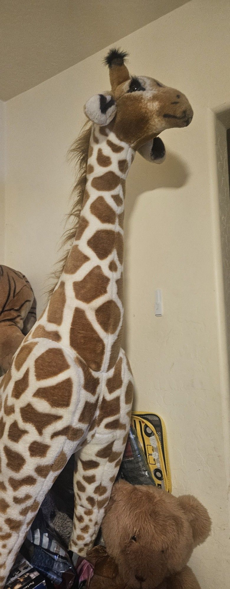 Giraffe And Tiger