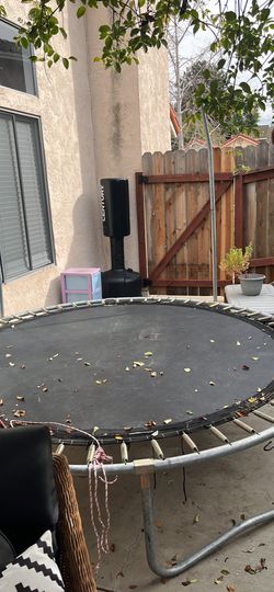 Trampoline With Brand New Net