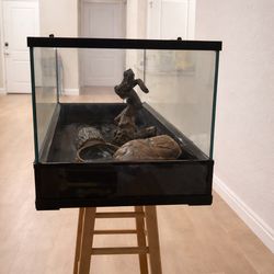 50 gallon terrarium with 2 hides (one big, one small), a bowl, and driftwood decor
