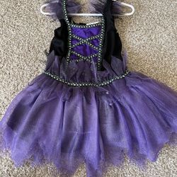 Fairy costume 