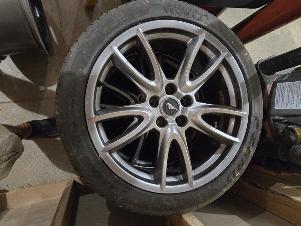 Ford Mustang Got Track Pack Wheels 19"