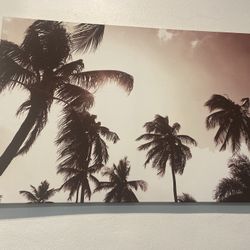 36x24 Large Sepia Palm Tree Canvas Wall Art - Tropical/Boho Decor"