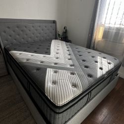 QUEEN BED & MATTRESS MINT CONDITION