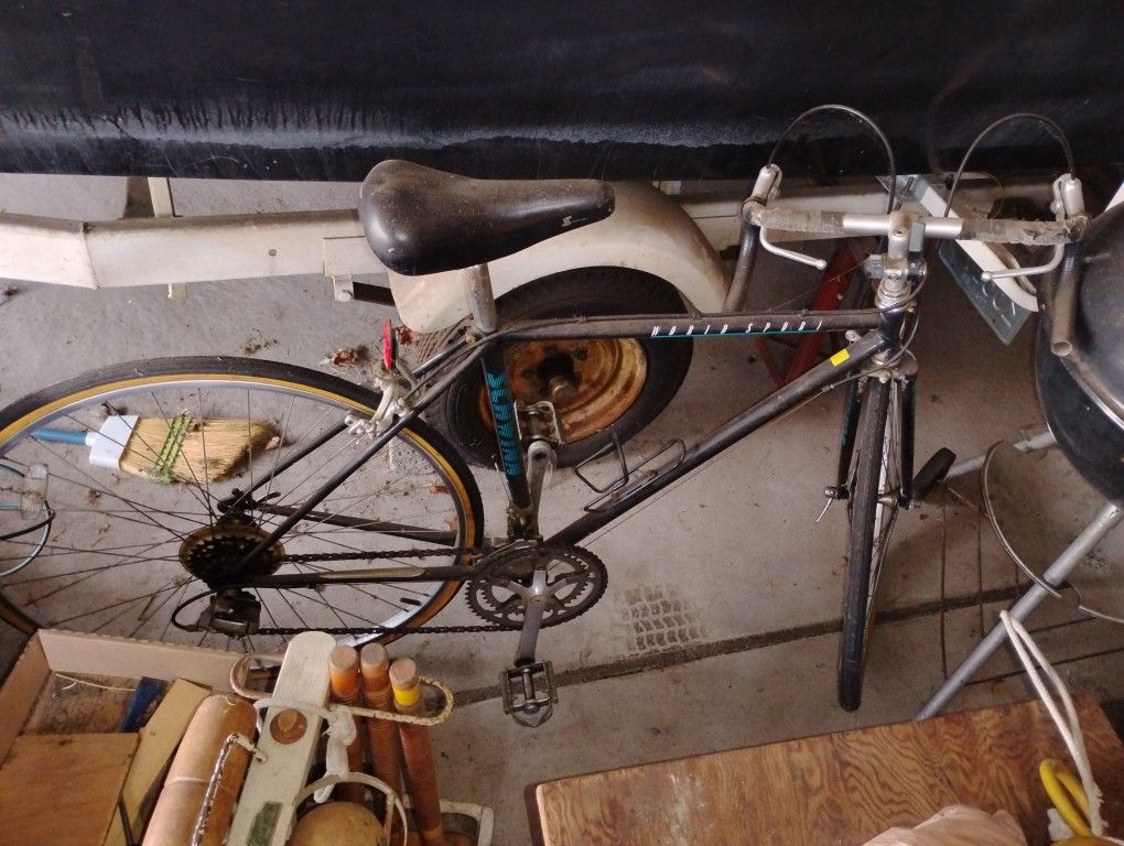 1987 Schwinn World Sport