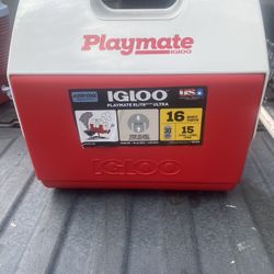 Cooler “Playmate” (New)