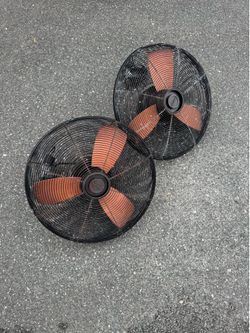 Clean Hampton Bay fans hanging!