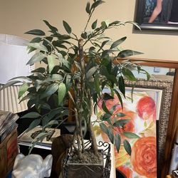 Artificial Plant
