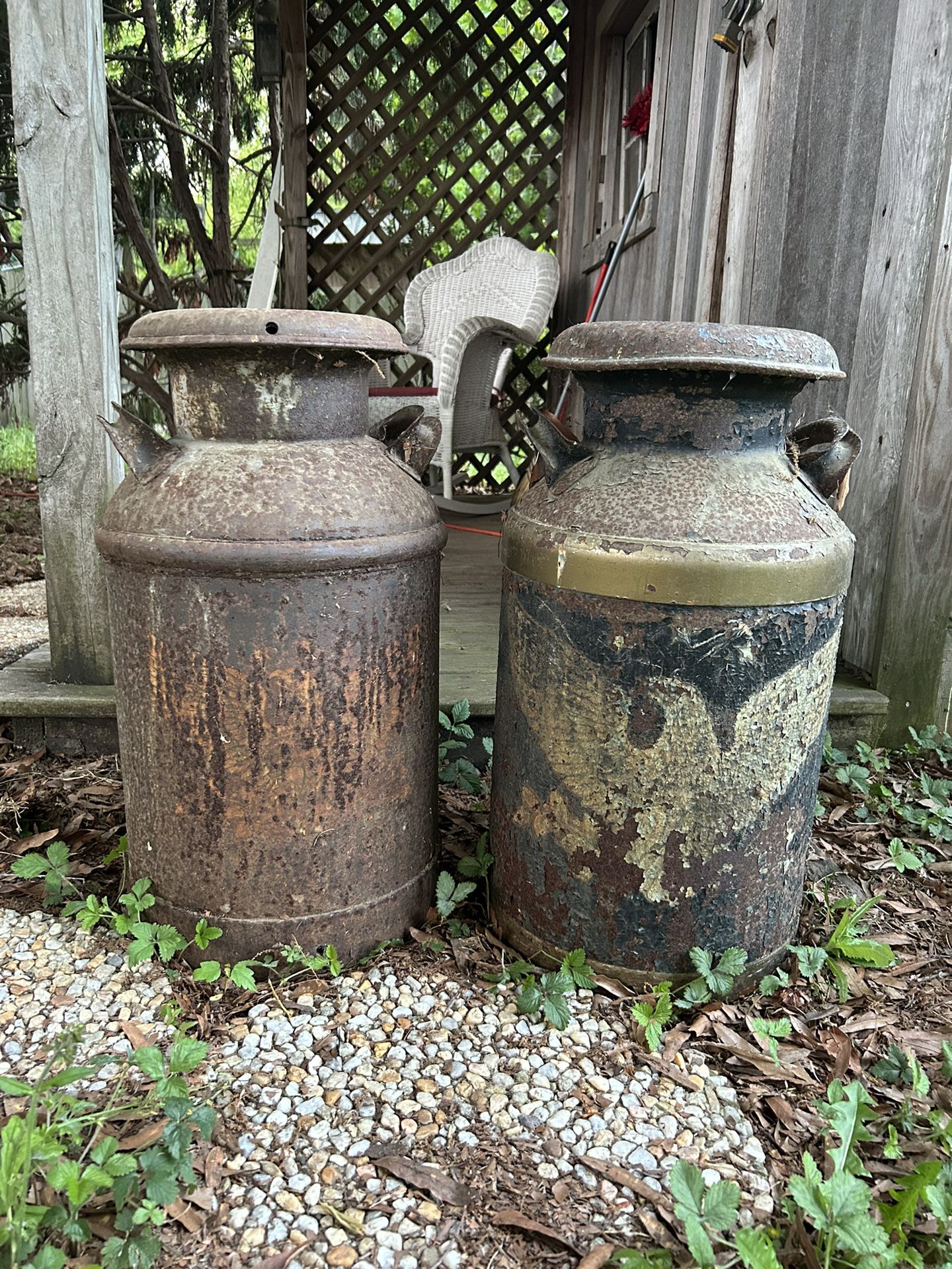 Antique Milk Cans 