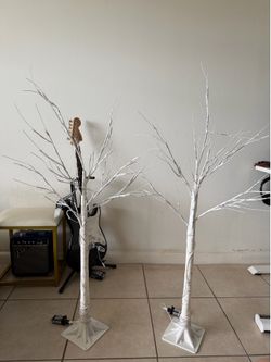 Lighted birch trees