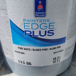 Painters Edge  Plus  Flat Pure White 