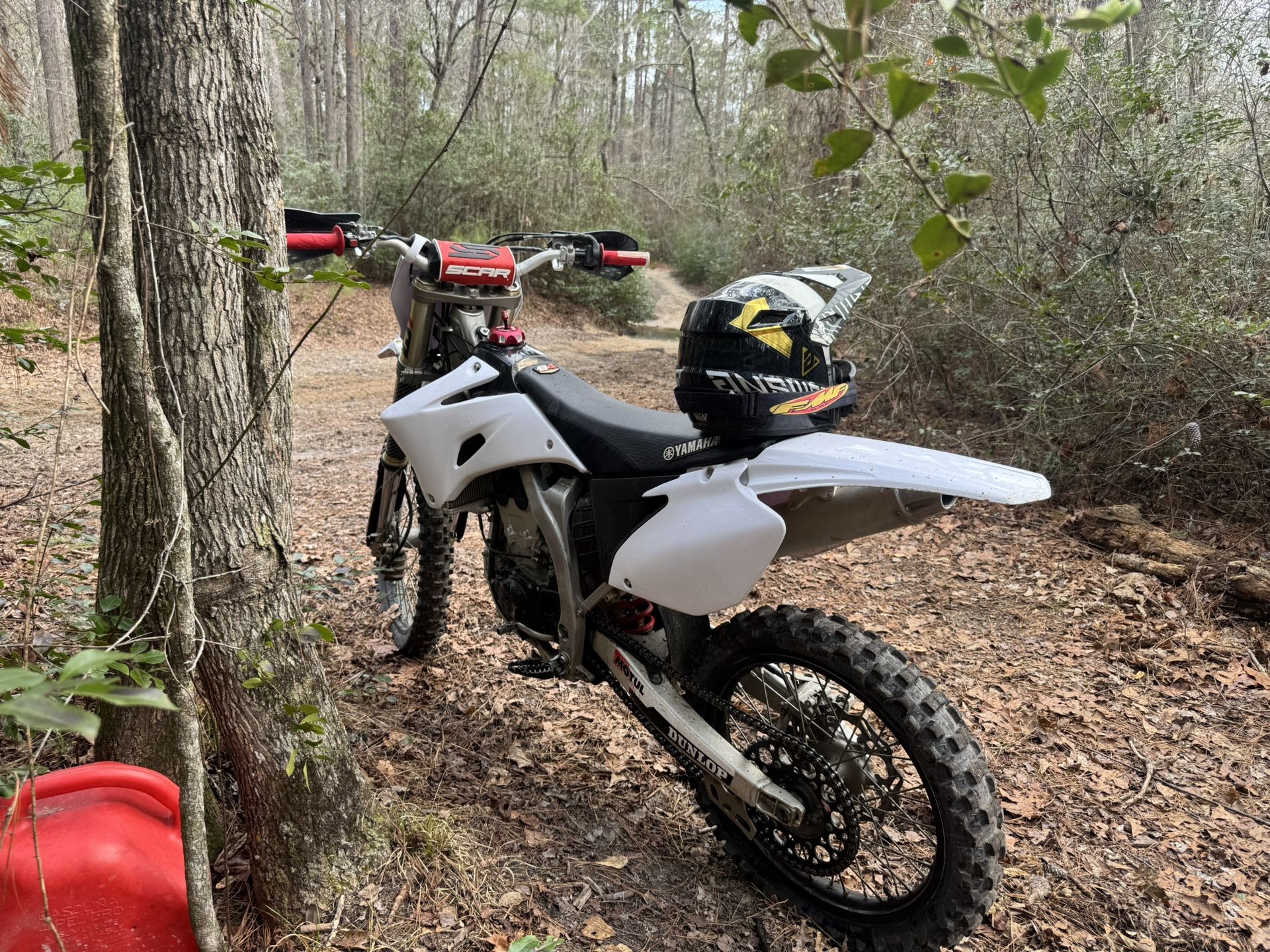 2009 Yamaha 250