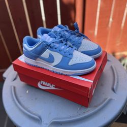 Dunk UNC 10.5