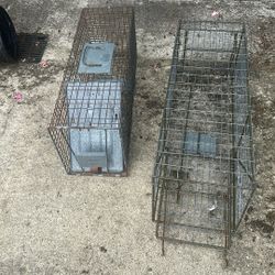 Traps Used