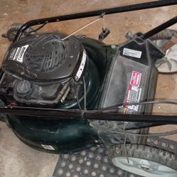 Bolens Briggs And Stratton 