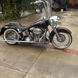 1999 Harley Davidson heritage softail