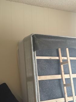 bed & box spring