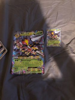 Big mega beedrill ex card