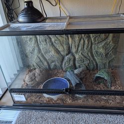 Reptile enclosure