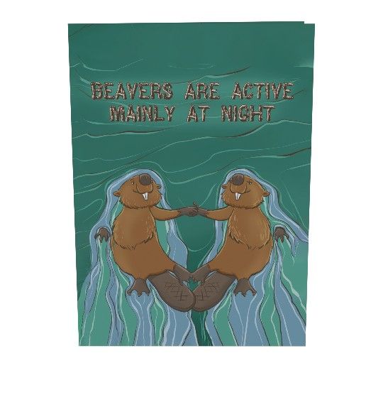 Dam Good Beaver 3D Greeting Card