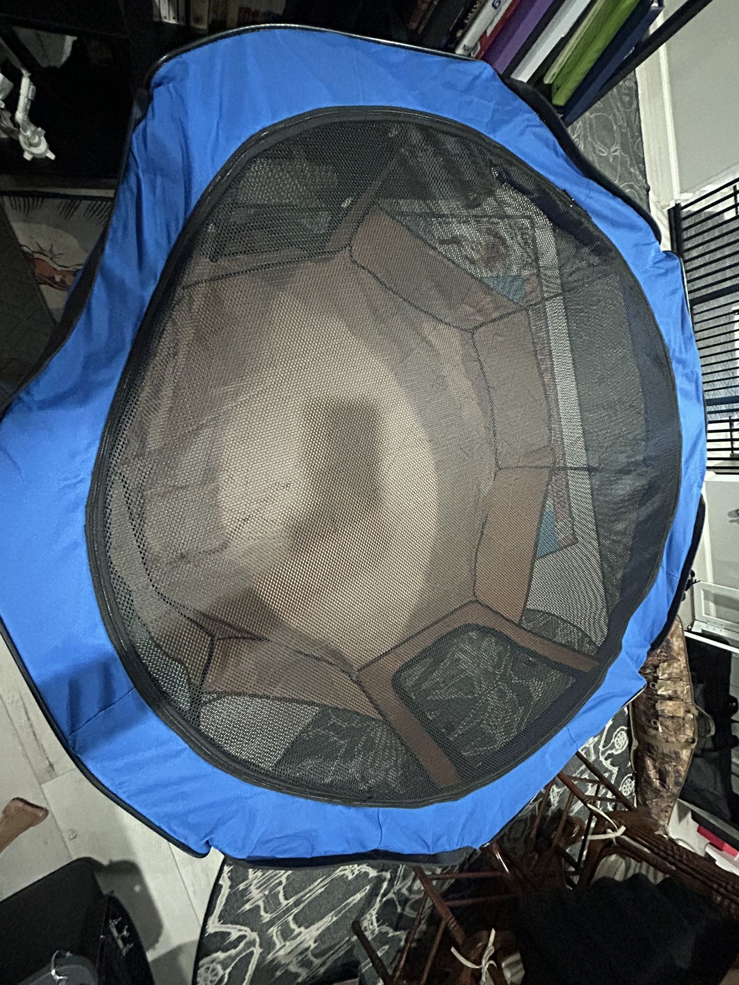 Dog Or kitty Playpen