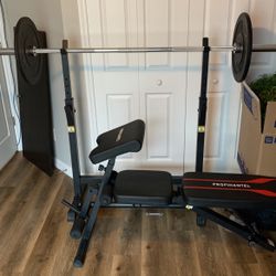 Workout Equipment. Bench, Weights, Rack, Barbell