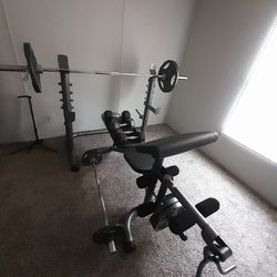 Weight BENCH WORK OUT