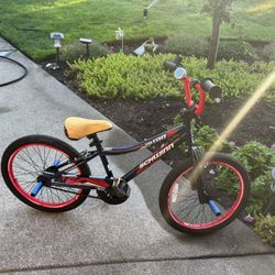 Kids Schwinn Bicycle w/foot Pegs 