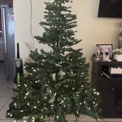 Christmas Tree 