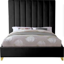 King Black Velvet Upholstered Platform Bed
