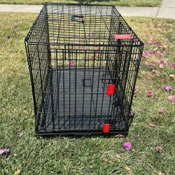 Kong Dog Crate 