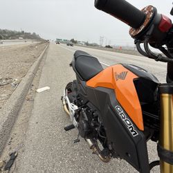 Honda grom 2019 Healthy Engine Won’t Ever Give Up If You Remember To Change The Oil