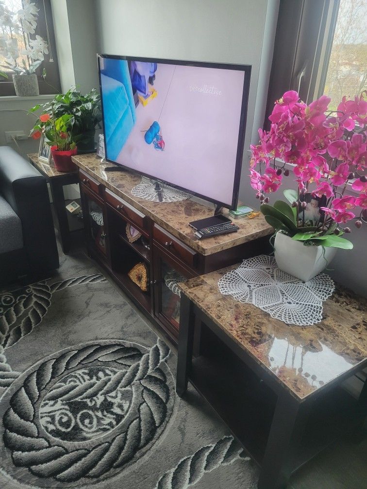 Coffee Table, TV stand and two side tables, all for $300